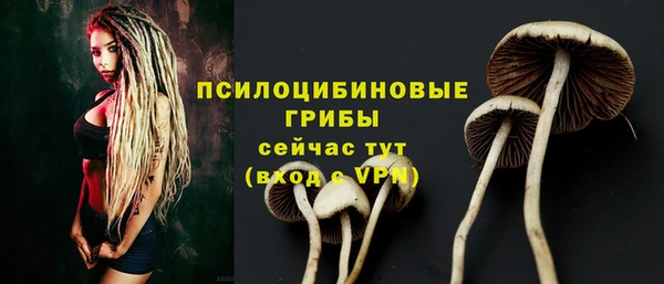 трава Алзамай