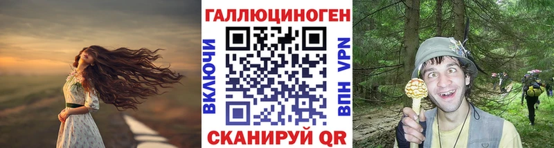 Псилоцибиновые грибы мицелий нарко площадка состав Электрогорск